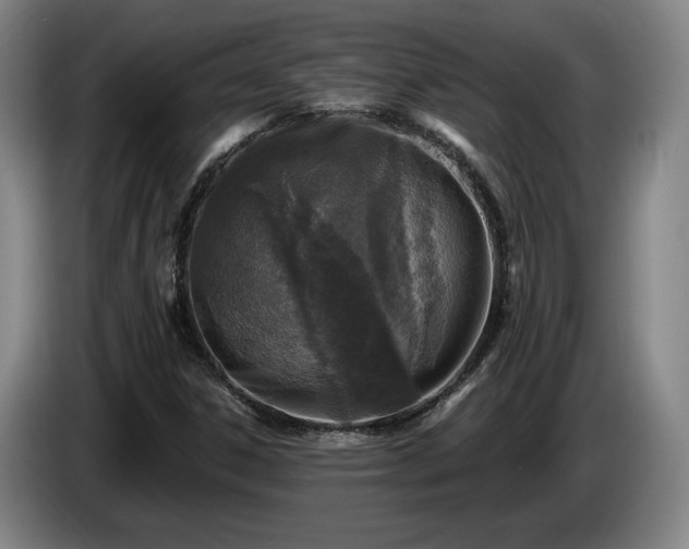 X0000085001306200703121452