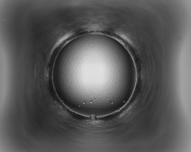 X0000085001309200703121452