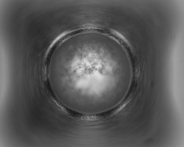 X0000085001310200703121452