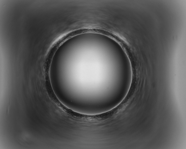 X0000085001311200703121452