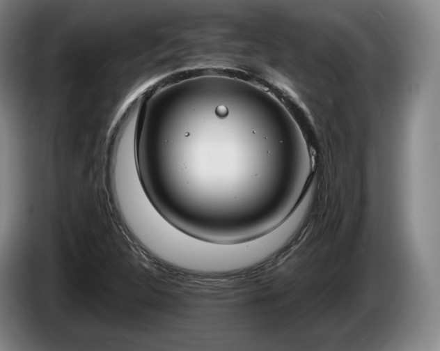 X0000085001312200703121452