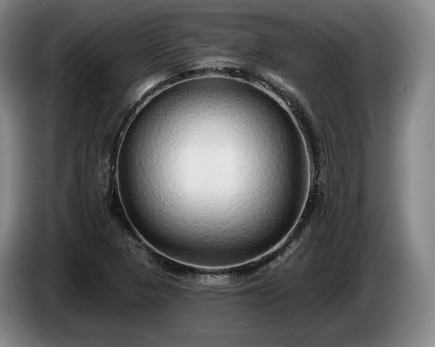 X0000085001313200703121452