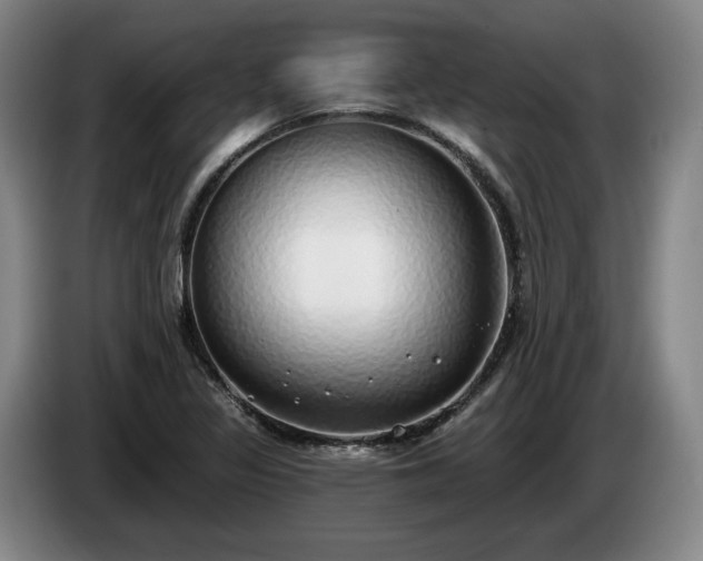 X0000085001317200703121452