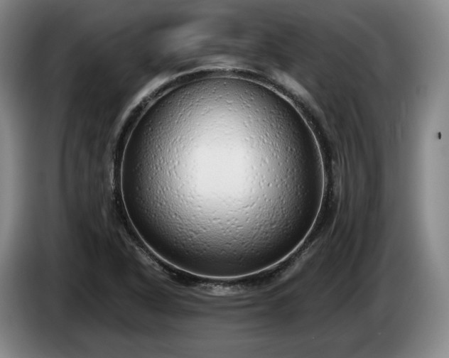 X0000085001318200703121452