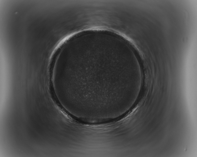 X0000085001319200703121452