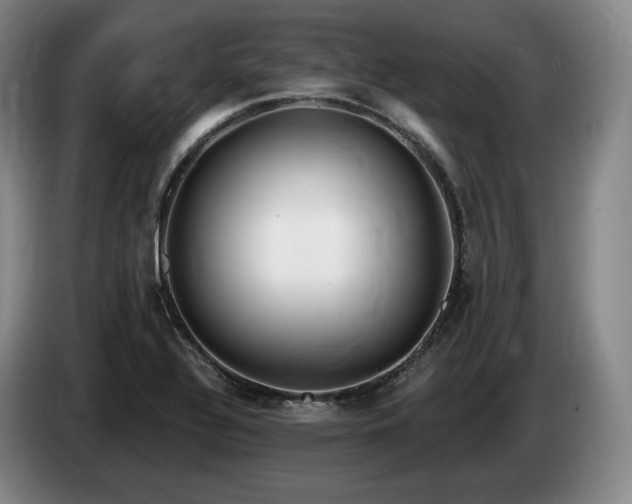 X0000085001320200703121452