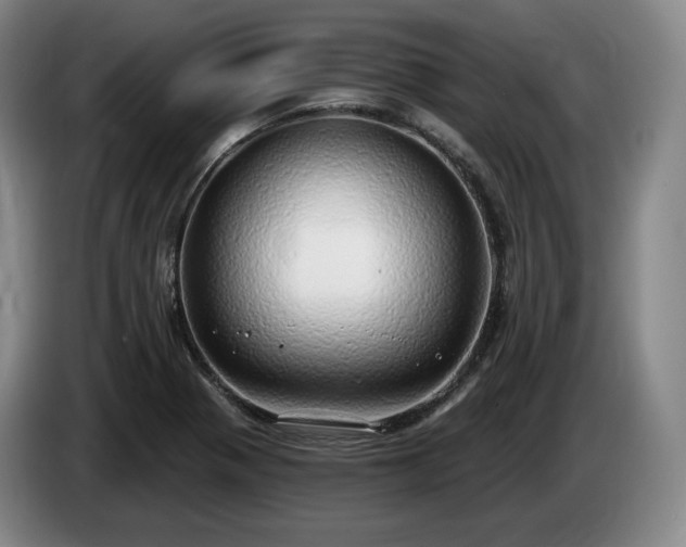 X0000085001321200703121452