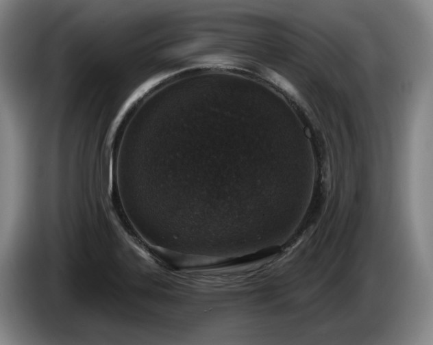 X0000085001323200703121452