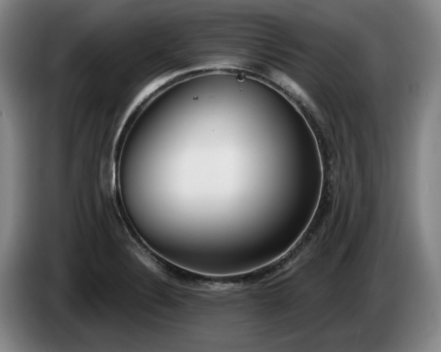 X0000085001324200703121452