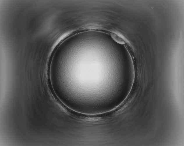 X0000085001325200703121452