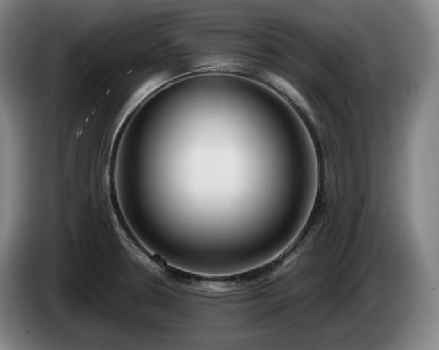 X0000085001330200703121452