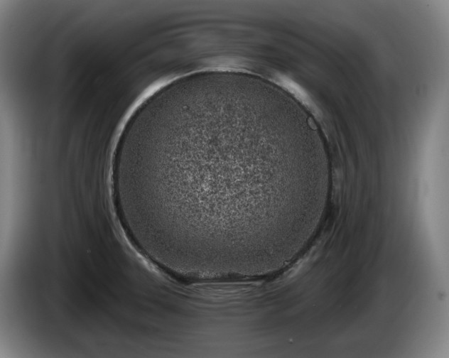 X0000085001331200703121452