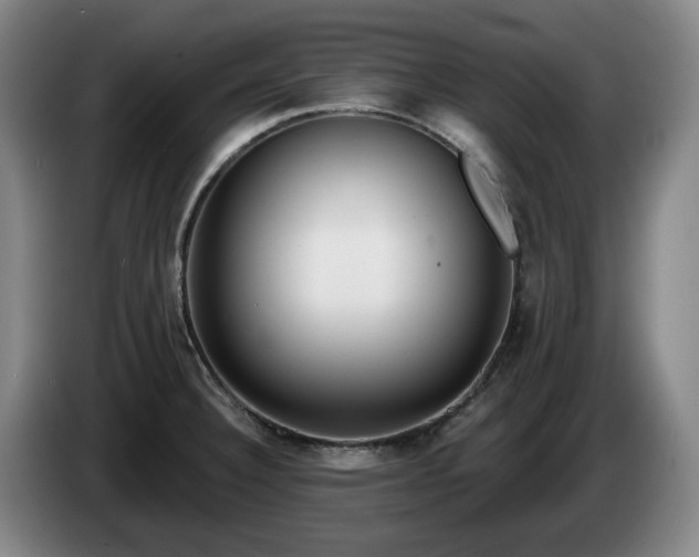 X0000085001332200703121452