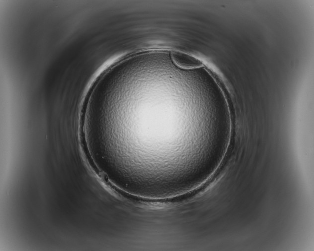 X0000085001333200703121452