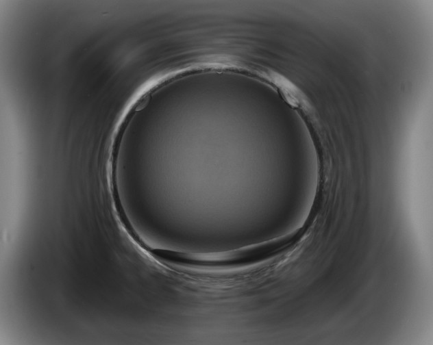 X0000085001334200703121452