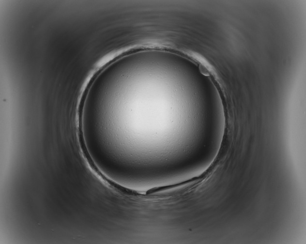 X0000085001335200703121452