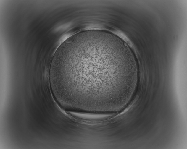 X0000085001337200703121452