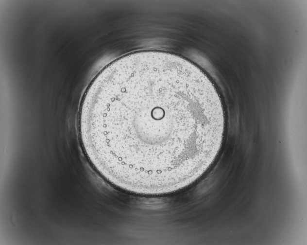 X0000085001338200703121452