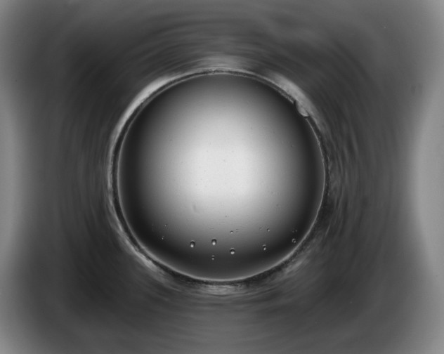 X0000085001339200703121452