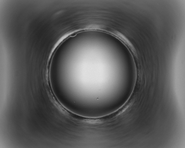 X0000085001340200703121452