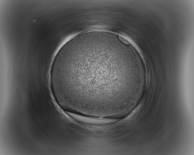 X0000085001341200703121452