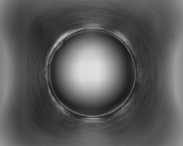 X0000085001342200703121452