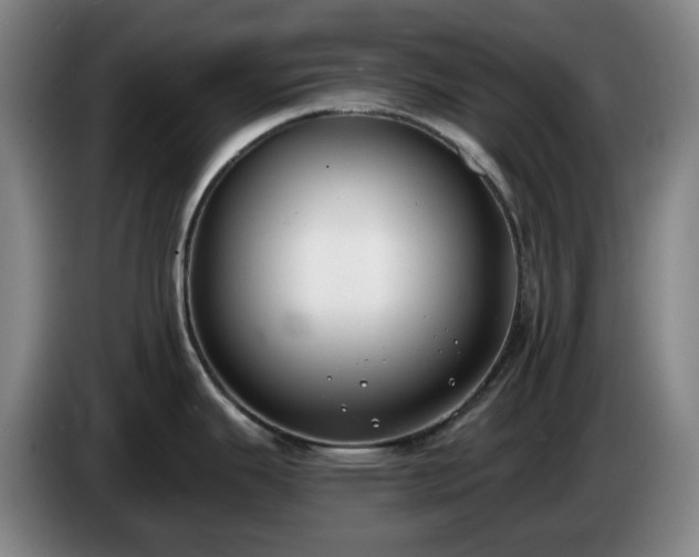 X0000085001343200703121452