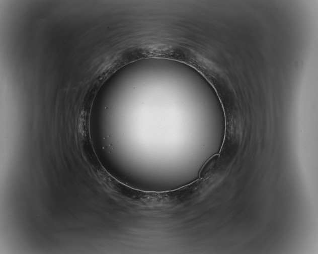 X0000085001346200703121451