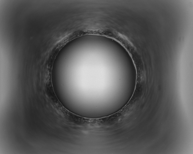 X0000085001350200703121451