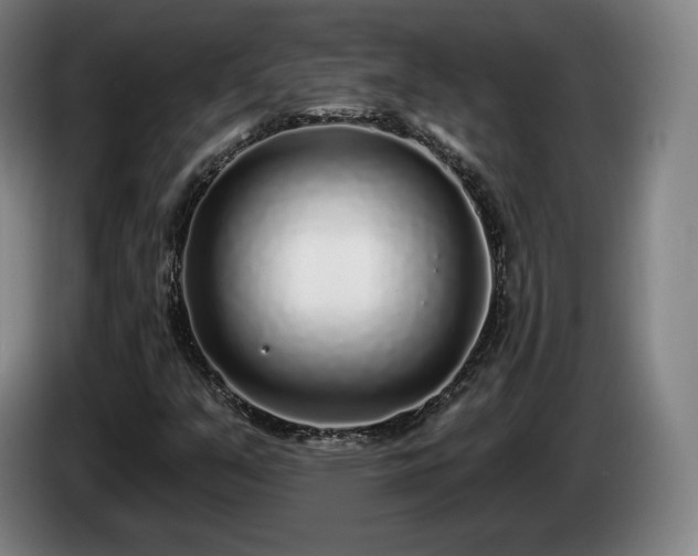 X0000085001351200703121451