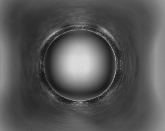 X0000085001352200703121451