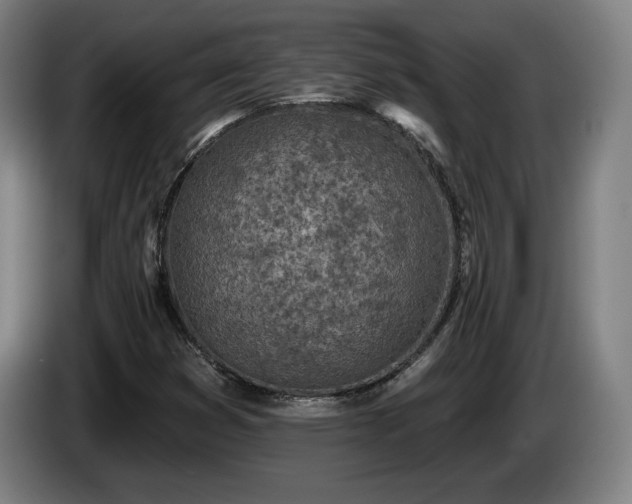 X0000085001353200703121451