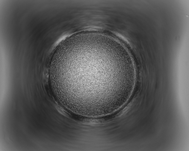 X0000085001355200703121451