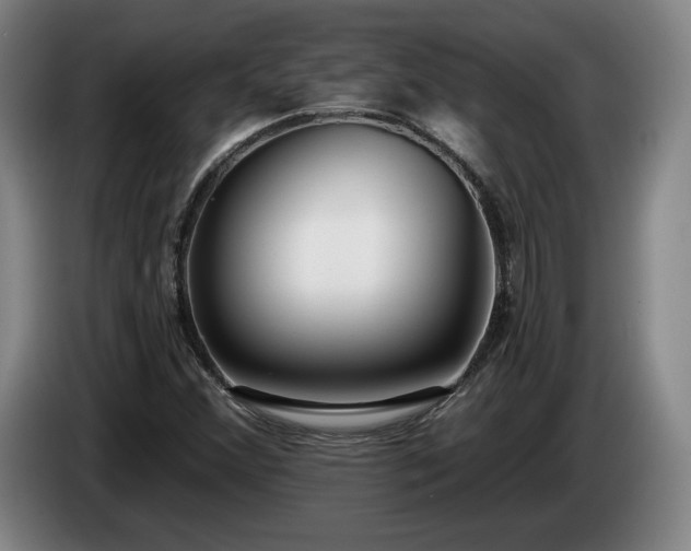 X0000085001356200703121451