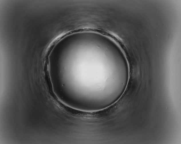 X0000085001359200703121451