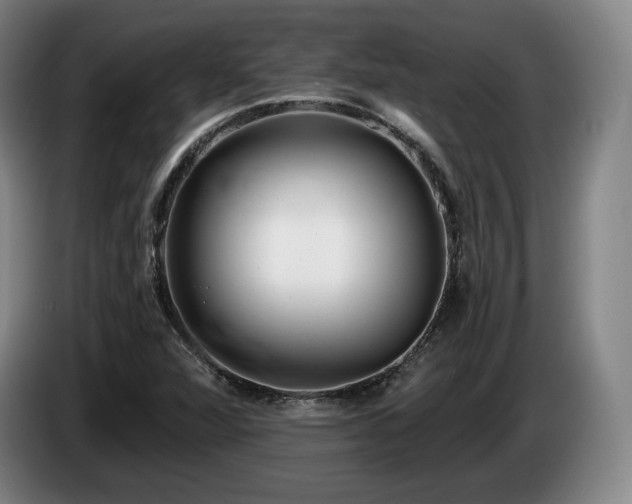 X0000085001360200703121451