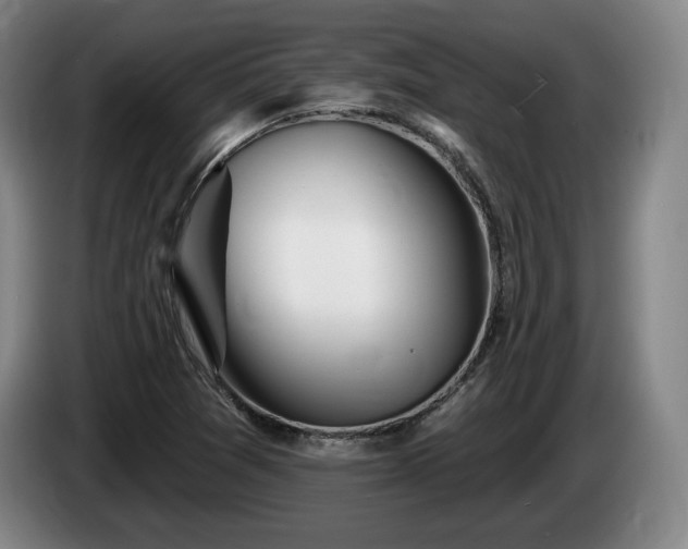 X0000085001361200703121451