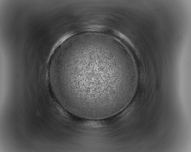 X0000085001362200703121451