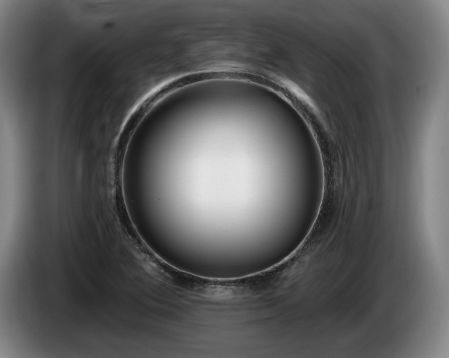 X0000085001364200703121451