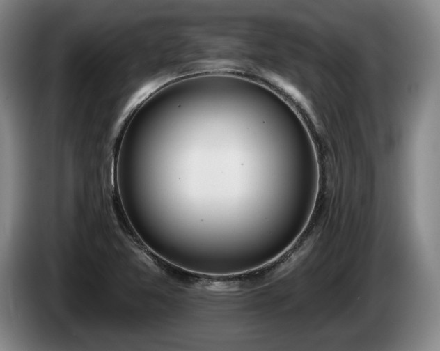 X0000085001365200703121451