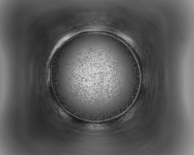 X0000085001366200703121451