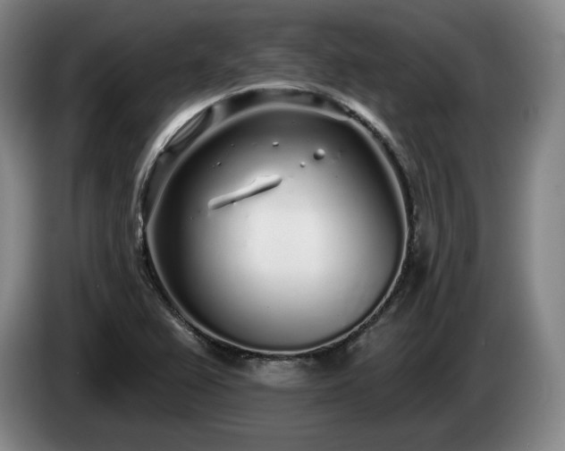 X0000085001367200703121451