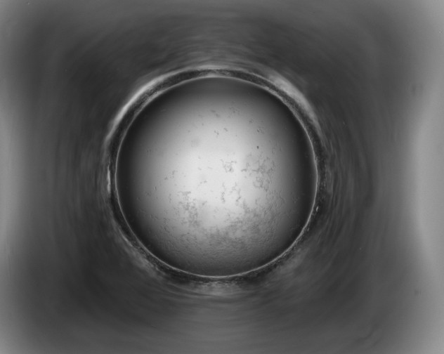 X0000085001368200703121451