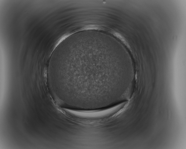 X0000085001369200703121451