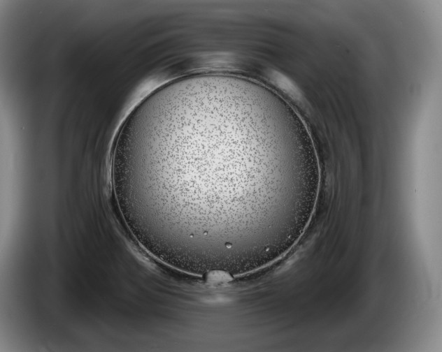 X0000085001370200703121451