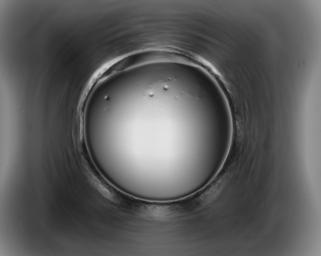 X0000085001371200703121451