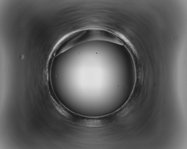 X0000085001372200703121451