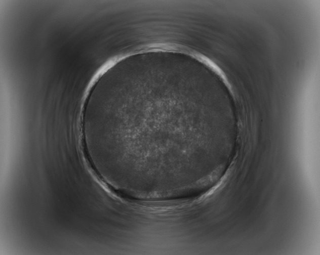 X0000085001373200703121451