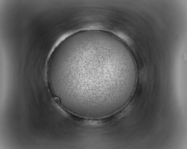 X0000085001374200703121451