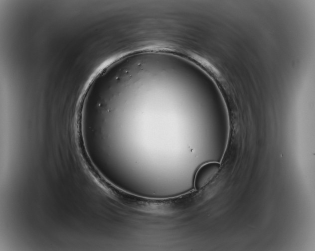 X0000085001375200703121451